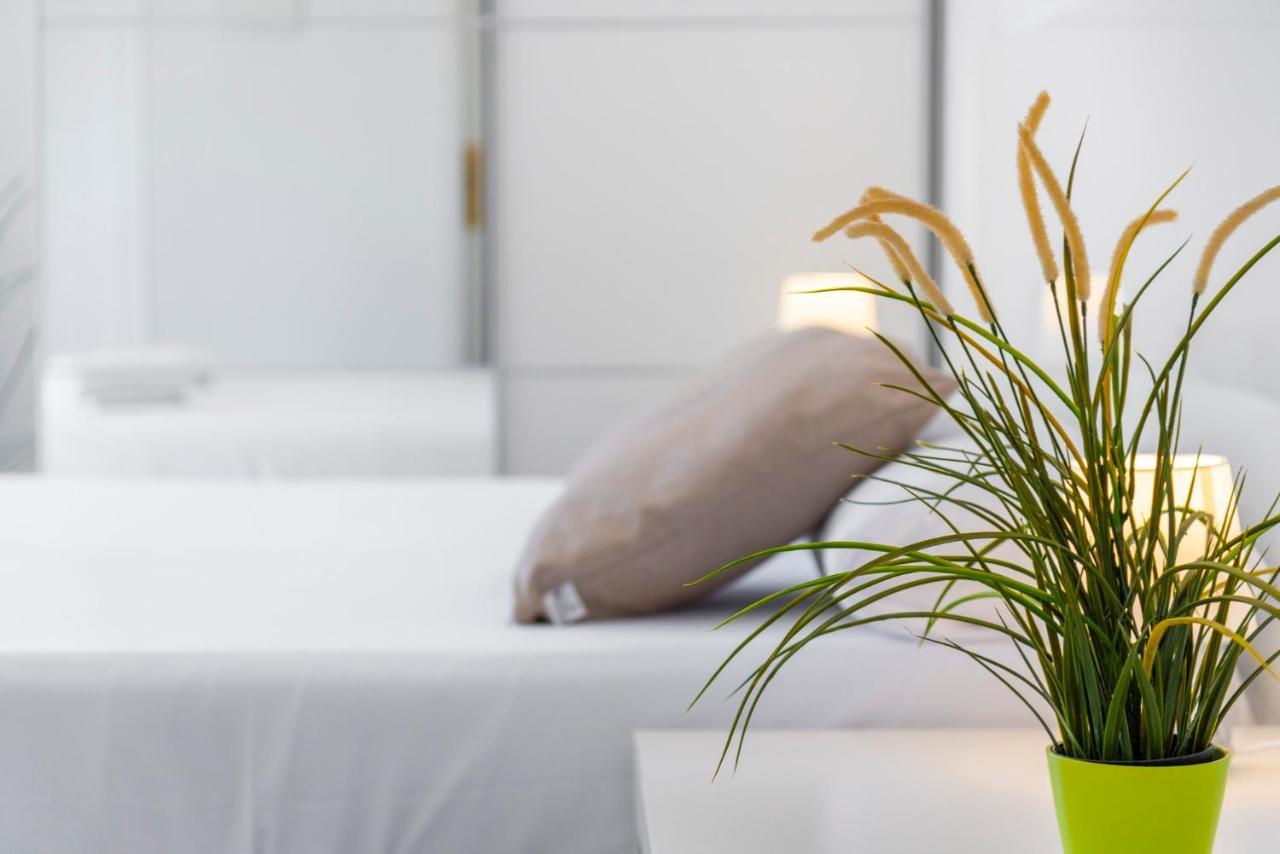 Medano4You White Dream Penthouse Ель-Медано Екстер'єр фото